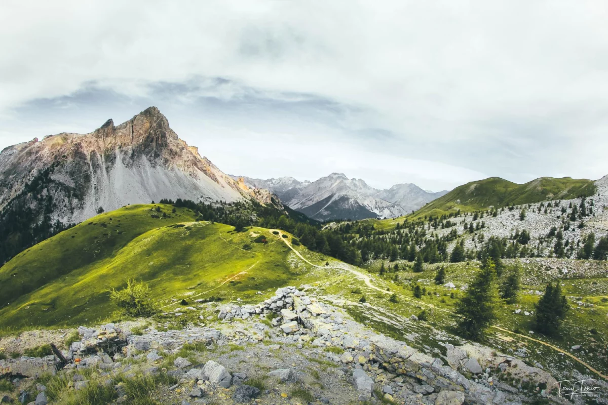 Wycena tego jak kupić wyposażenie domu