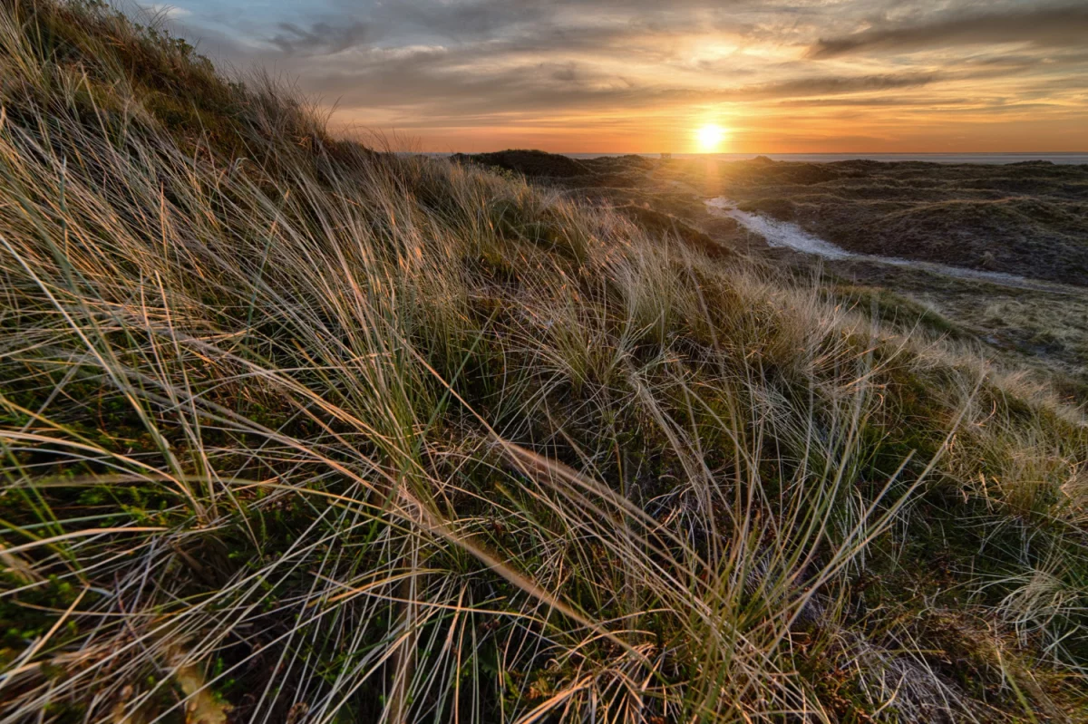 Kto musi kupić elektronikę?