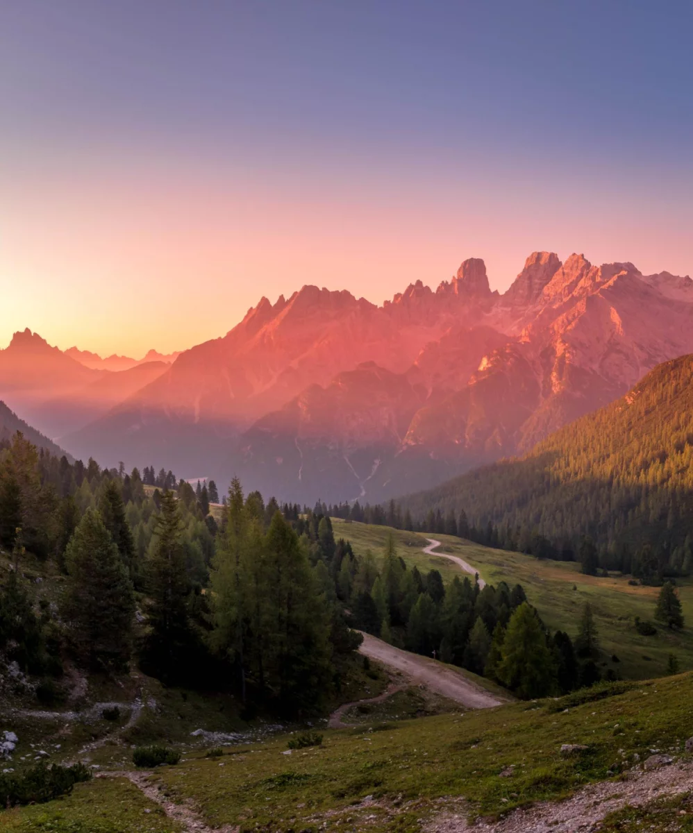 budować altanki? Dokładnie!