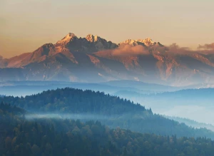 Prace do których koniecznie przyda się podnośnik
